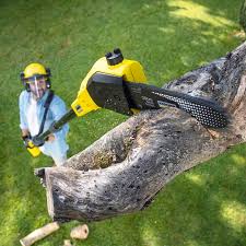 Best Lawn Pest Prevention  in Nanuet, NY