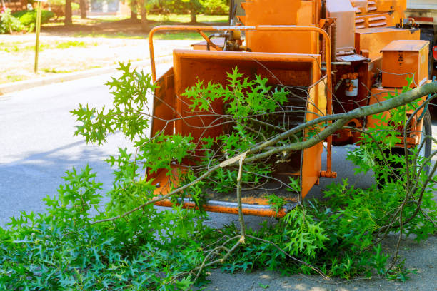 Best Utility Line Clearance  in Nanuet, NY