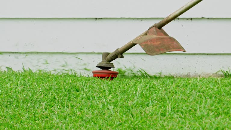 Best Lawn Grading and Leveling  in Nanuet, NY